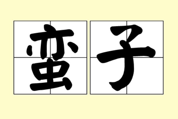 蛮子是什么意思