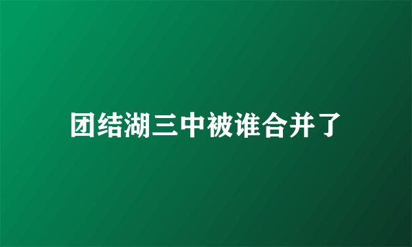 团结湖三中被谁合并了