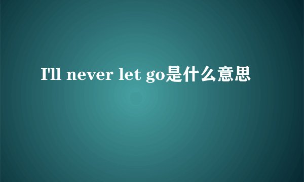 I'll never let go是什么意思