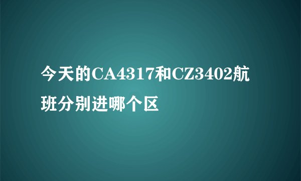 今天的CA4317和CZ3402航班分别进哪个区