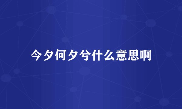 今夕何夕兮什么意思啊