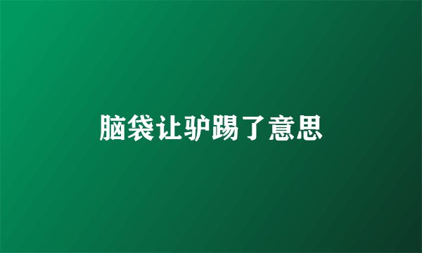 脑袋让驴踢了意思