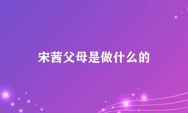 宋茜父母是做什么的