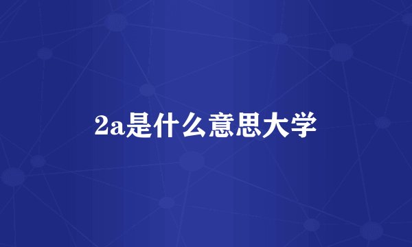2a是什么意思大学
