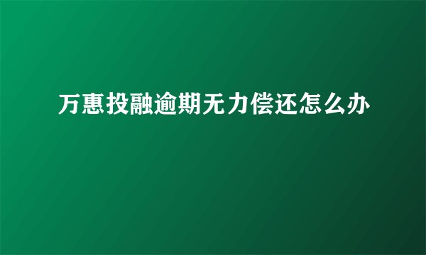 万惠投融逾期无力偿还怎么办