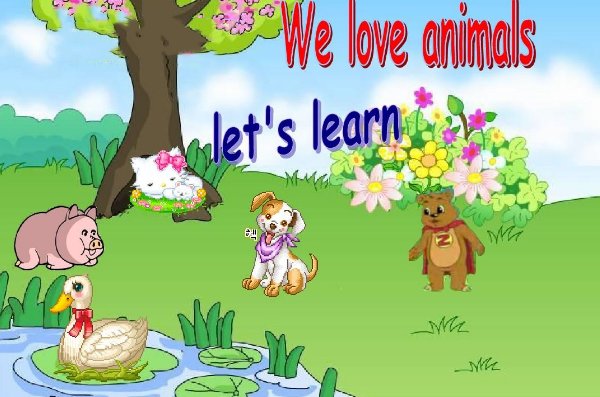 We的中文意思是什么?