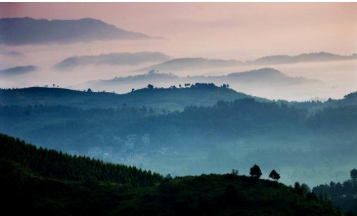 什么的山野？怎么填