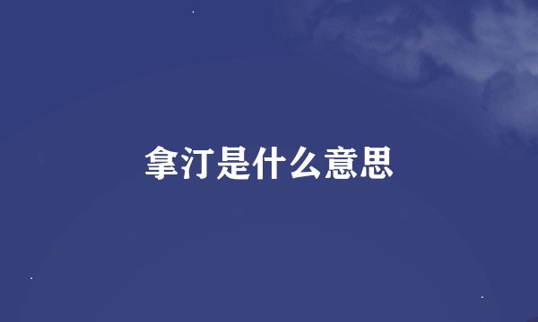 拿汀是什么意思