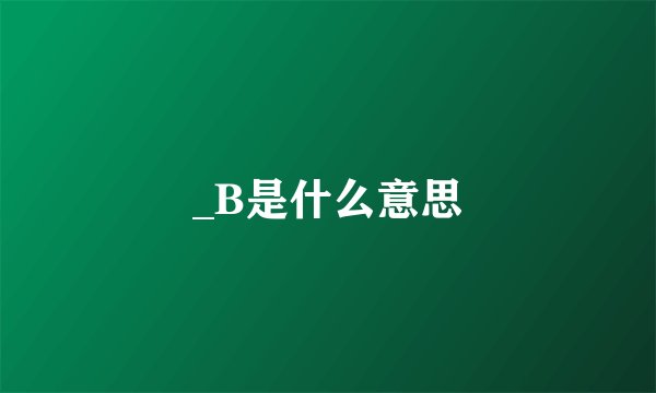 _B是什么意思