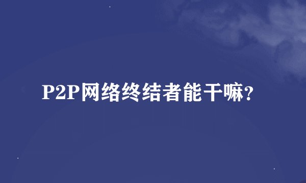 P2P网络终结者能干嘛？