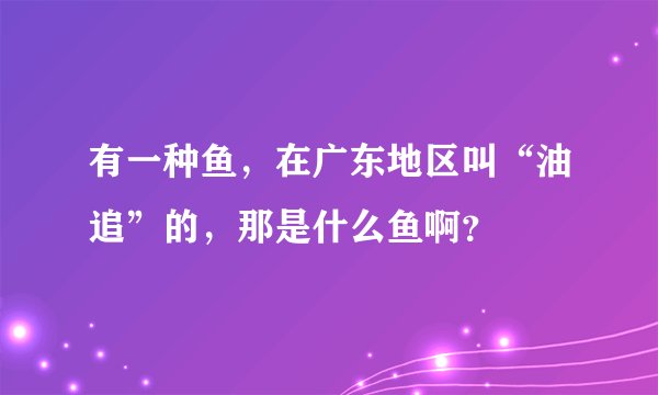 有一种鱼，在广东地区叫“油追”的，那是什么鱼啊？