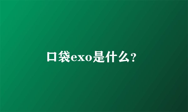 口袋exo是什么？