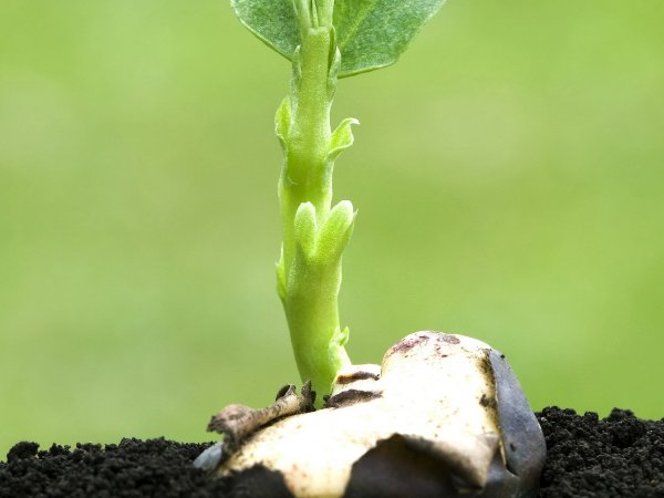 生活中还有什么也是美好的礼物