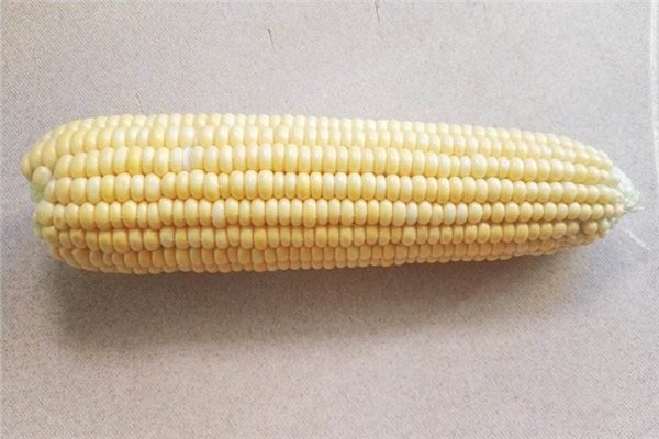 我国玉米价格每吨涨千元，对农业户有何影响？