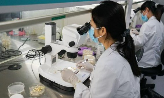 第三方检测机构怎么找