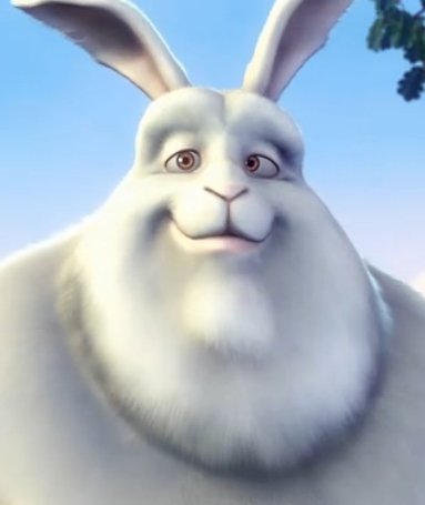 外国动画片里面的主角是一只大白兔的