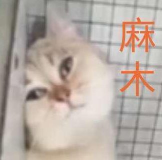 麻木的意思解释