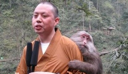 生命是如此的精彩 这句话出自什么事件 ？