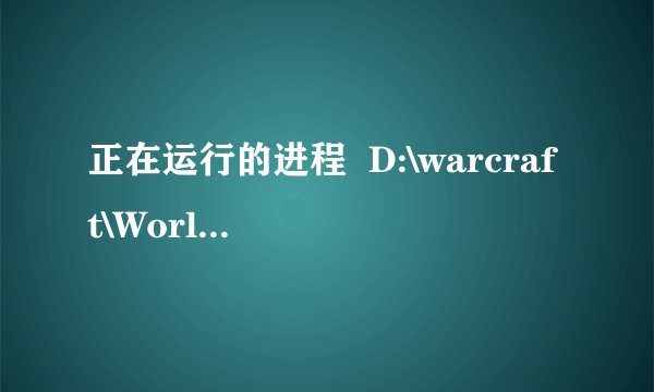 正在运行的进程  D:\warcraft\World of Warcraft\WoWShell.exe：检测到风险软件 'Worm.P2P.generic'.的修
