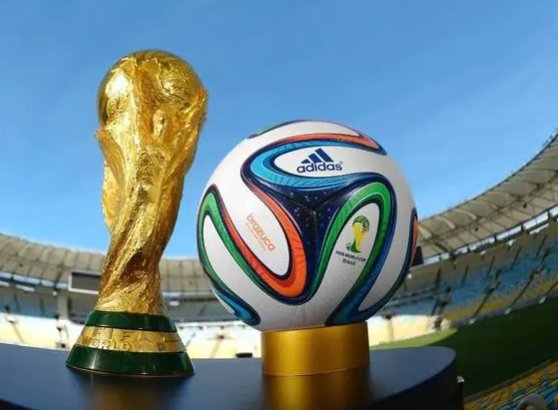 世界杯已进入八强名单