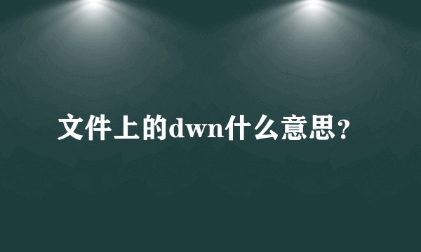 文件上的dwn什么意思？