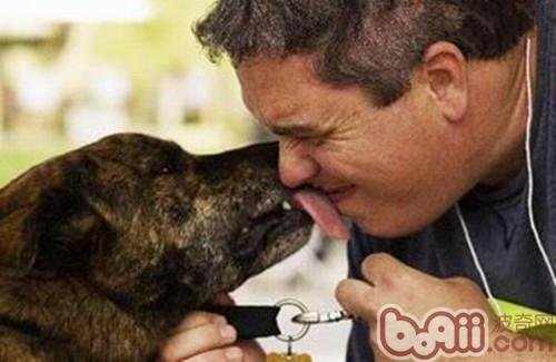 狗狗会有心事吗？会有哪些心事？