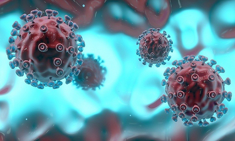 新冠毒株是什么意思