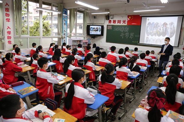 朝阳似火是什么生肖的动物