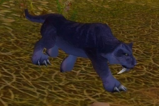 荆棘谷的黑豹和荆棘谷猛虎在什么地方