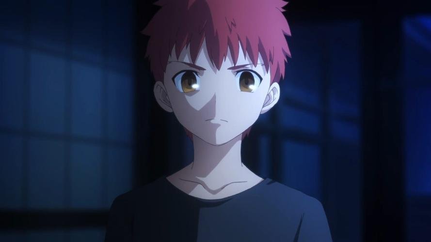 卫宫士郎英灵化有几种