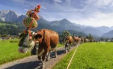 科学家警告欧洲或遭遇五百年来最严重干旱，将给各地人们生活带来哪些影响？