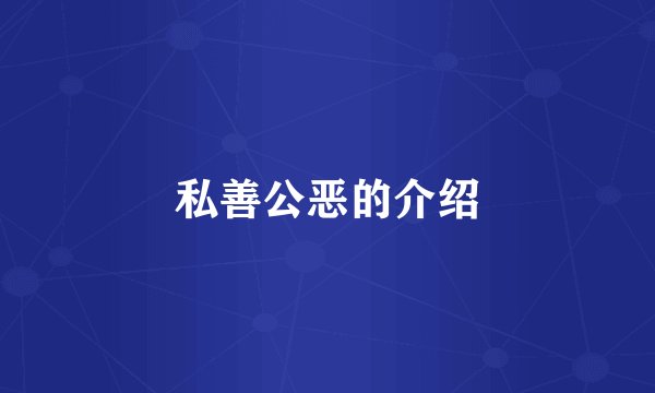 私善公恶的介绍