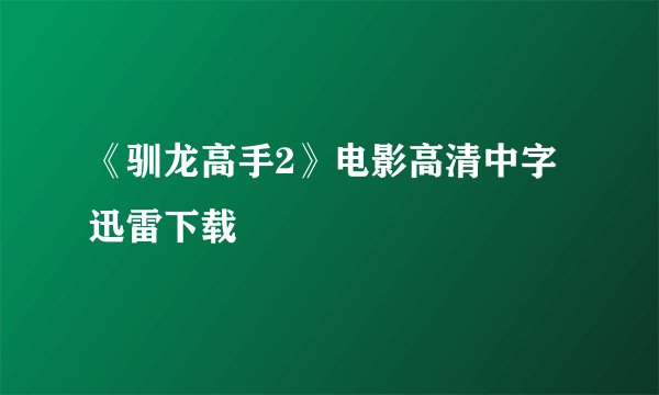 《驯龙高手2》电影高清中字迅雷下载
