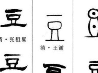 “豆”属于什么结构？