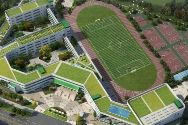 国内的国际高中怎么样