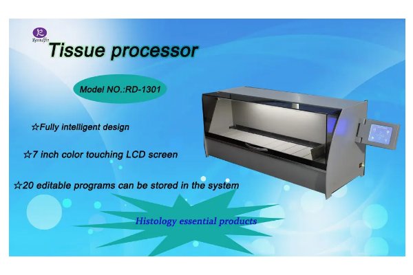 processor是什么意思