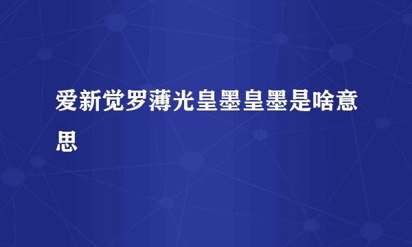 爱新觉罗薄光皇墨皇墨是啥意思