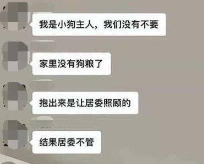上海被打死柯基主人发声了，柯基的主人是否会索要赔偿？