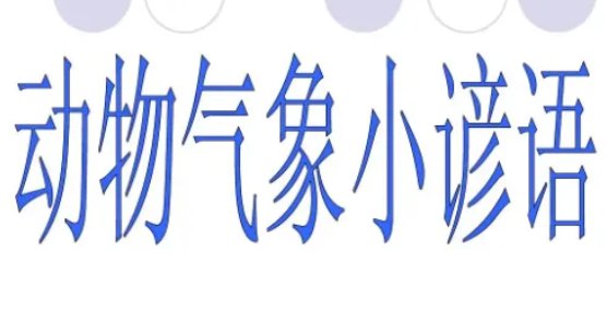动物预报天气的谚语