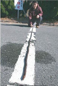 巴比虫的生活习性