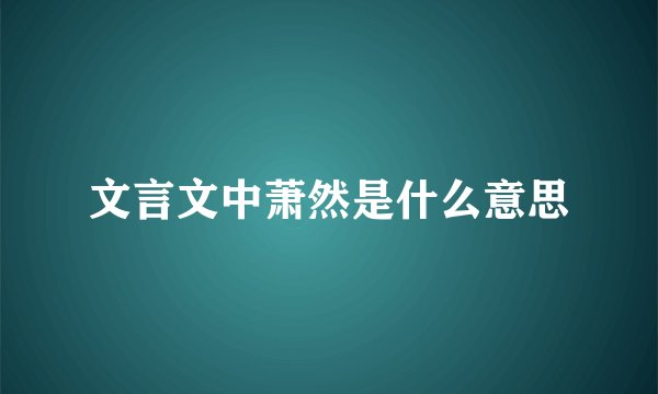 文言文中萧然是什么意思