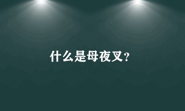 什么是母夜叉？