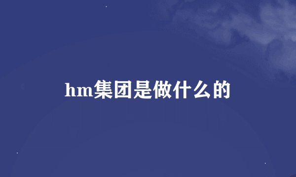 hm集团是做什么的