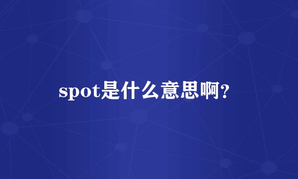 spot是什么意思啊？