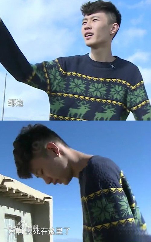 变形计停播真正原因 主人公赵力摔死幕后太吓人