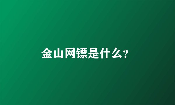 金山网镖是什么？