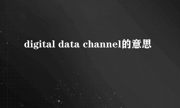 digital data channel的意思