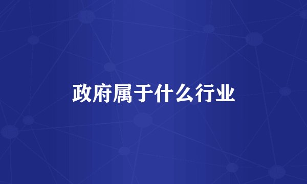 政府属于什么行业