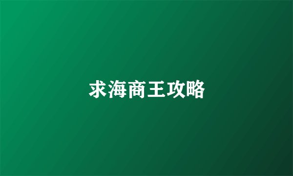 求海商王攻略