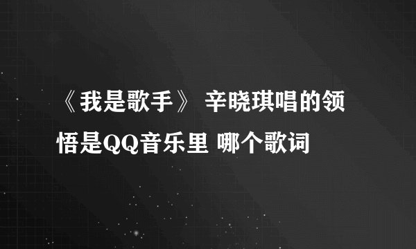 《我是歌手》 辛晓琪唱的领悟是QQ音乐里 哪个歌词